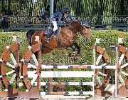 Angoli Pegaso Bis GioCav2013 S6 7458 : Angoli Kevin, Campionati Italiani Giovani Cavalli, Cattolica, Pegaso Bis, ph Stefano Secchi ©